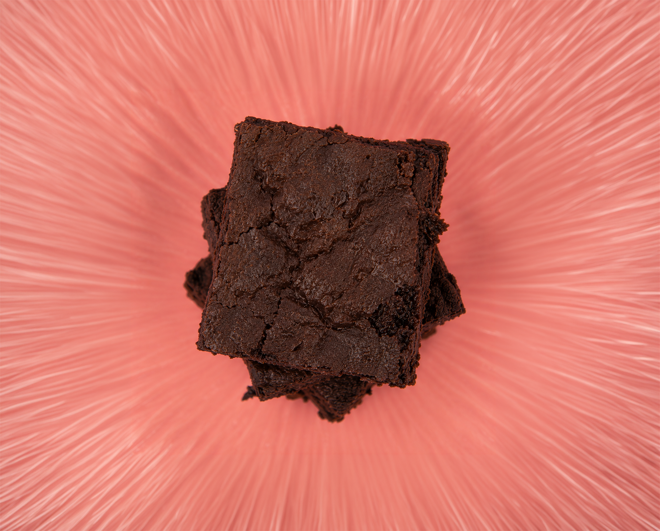 Close-up of rich chocolate brownies