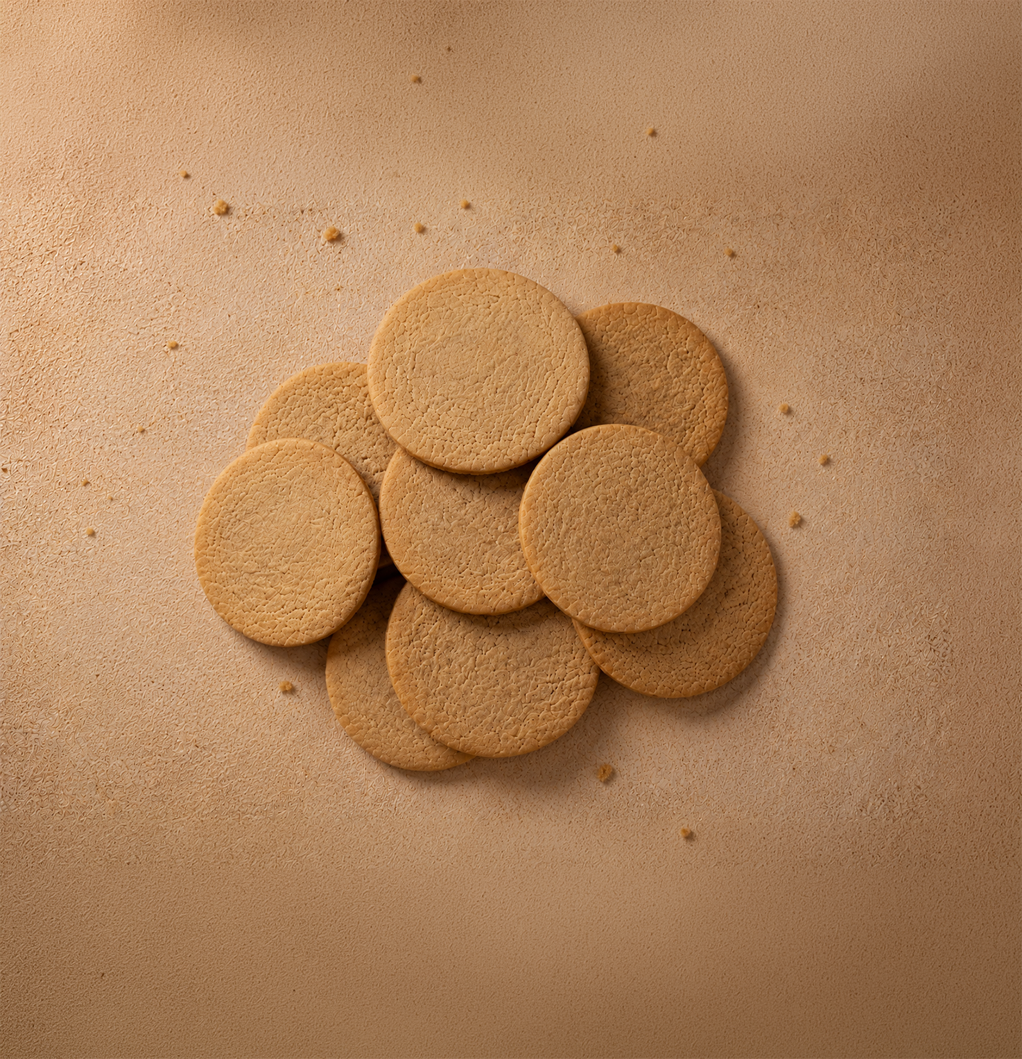 Gingerbread cookie arrangement